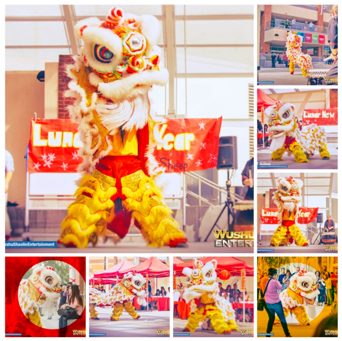The Wushu Shaolin Entertainment  Lion Dance and Dragon Dance team is revered for performing at some of the greatest venues across the globe. Among the clients include the Walt Disney Music Hall, Los Angeles Zoo, Nokia Theater, Dolby Theater, and countless other venues. 