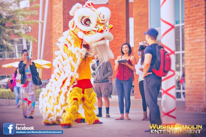 Students are always filled with joy upon experiencing the traditional Chinese Lion Dance. Many of them are unaware of the performance and often think it is a Dragon Costume, since both costumes are very similar. 